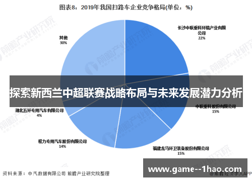探索新西兰中超联赛战略布局与未来发展潜力分析 探索新西兰中超联赛战略布局与未来发展潜力分析