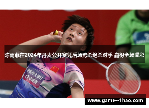 陈雨菲在2024年丹麦公开赛凭后场劈杀绝杀对手 赢得全场喝彩